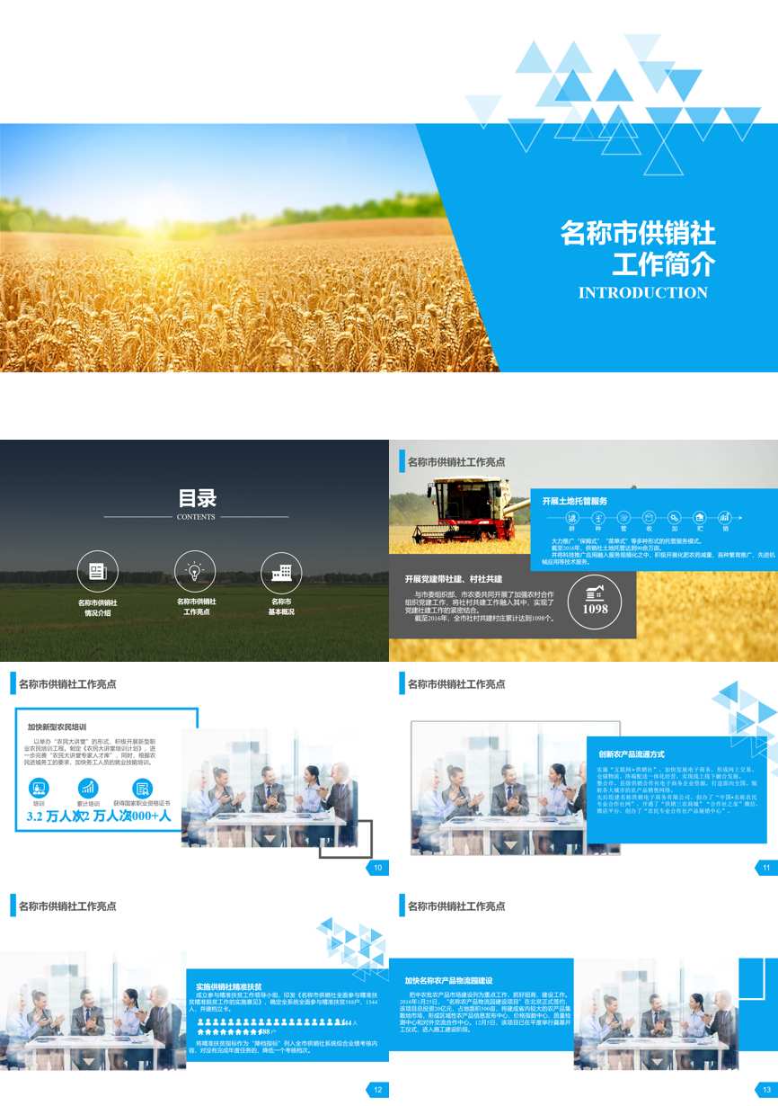 介绍宣传 (44)企业宣传PPT模板